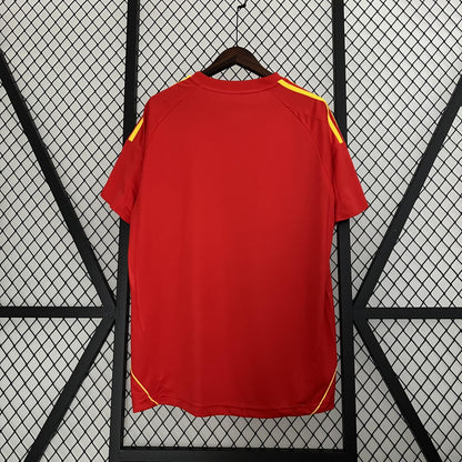 Spain 2008 Home