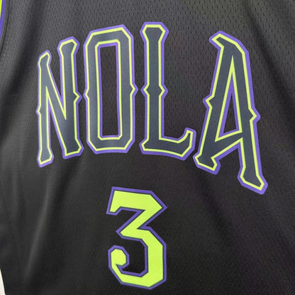 Pelicans City 2025 (Heat Pressed)